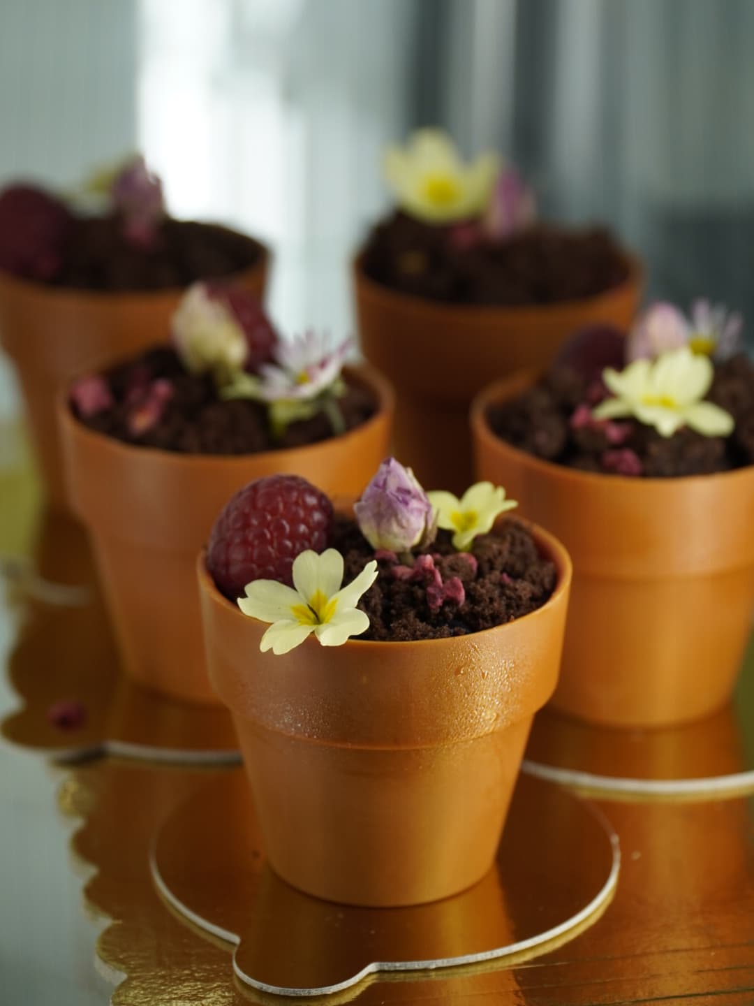 Chocolate dessert